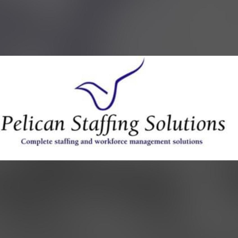 pelican staffing solutions