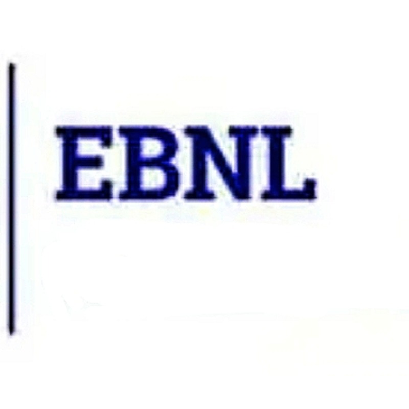 Easternbull Financial Services