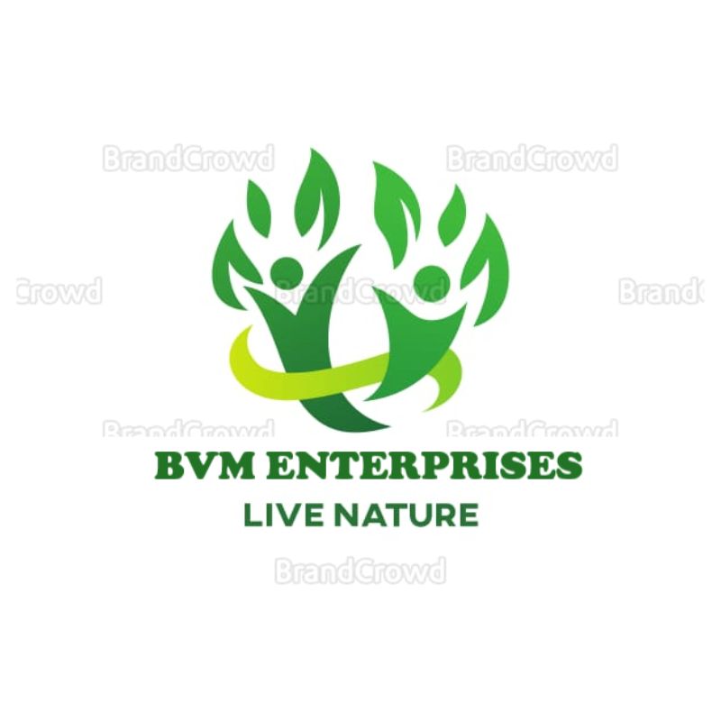 Bvm Enterprises