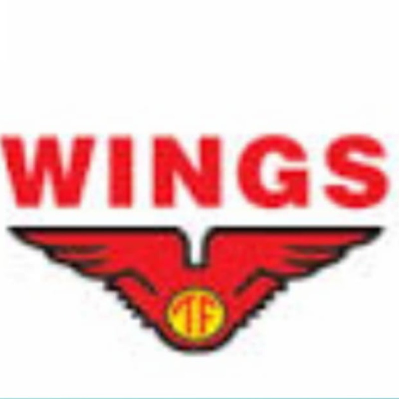 WINGS Group