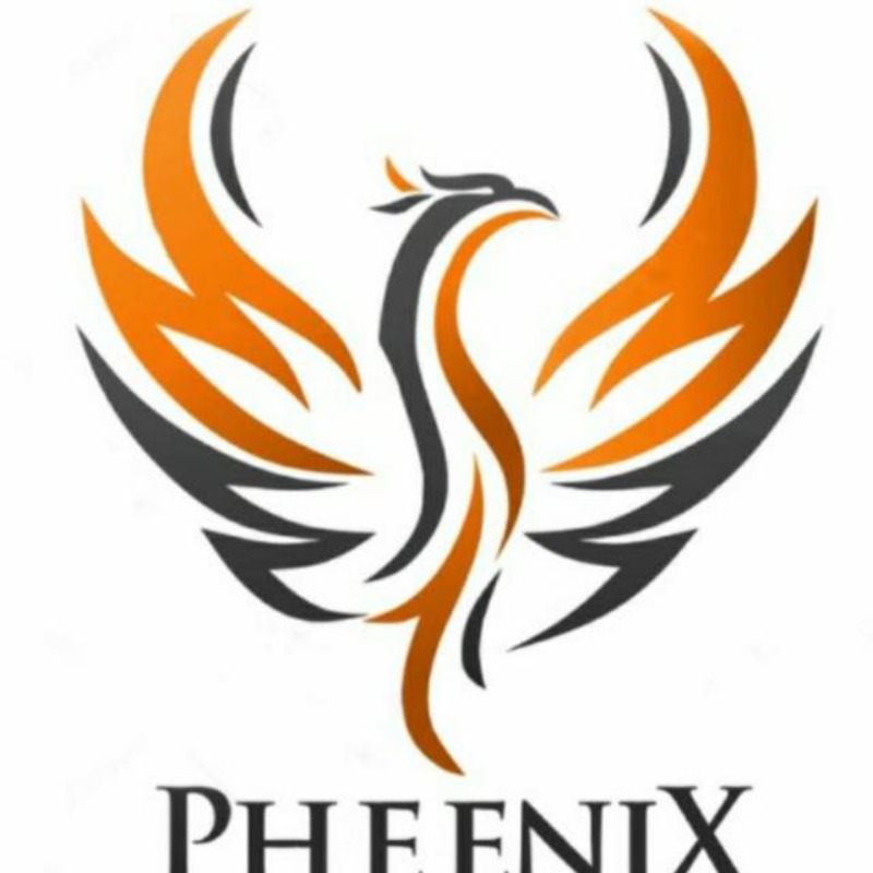 Pheenix online jobs
