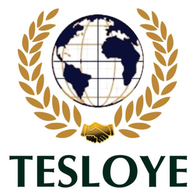 www.tesloye.com