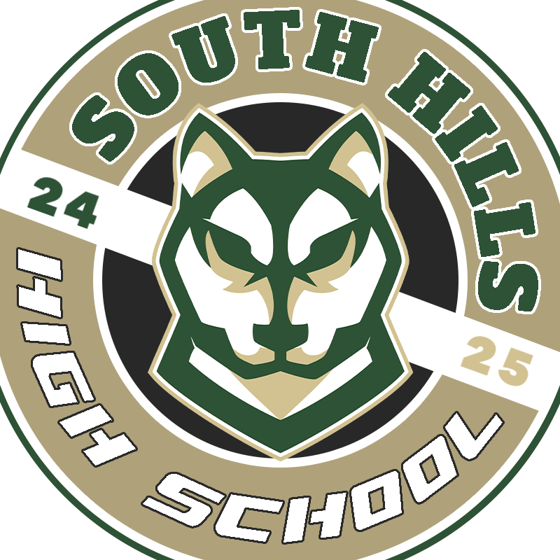 South Hills School District